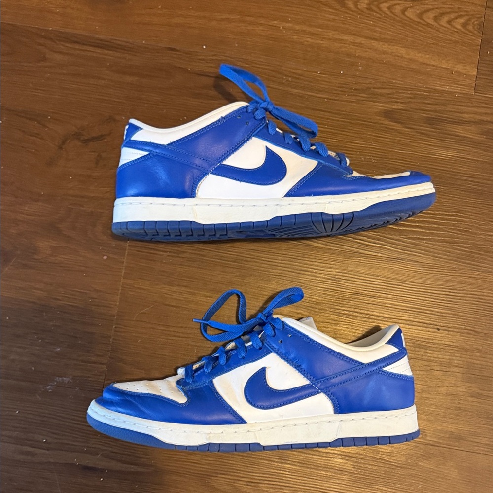 Nike sb dunk Blue and White Sneakers